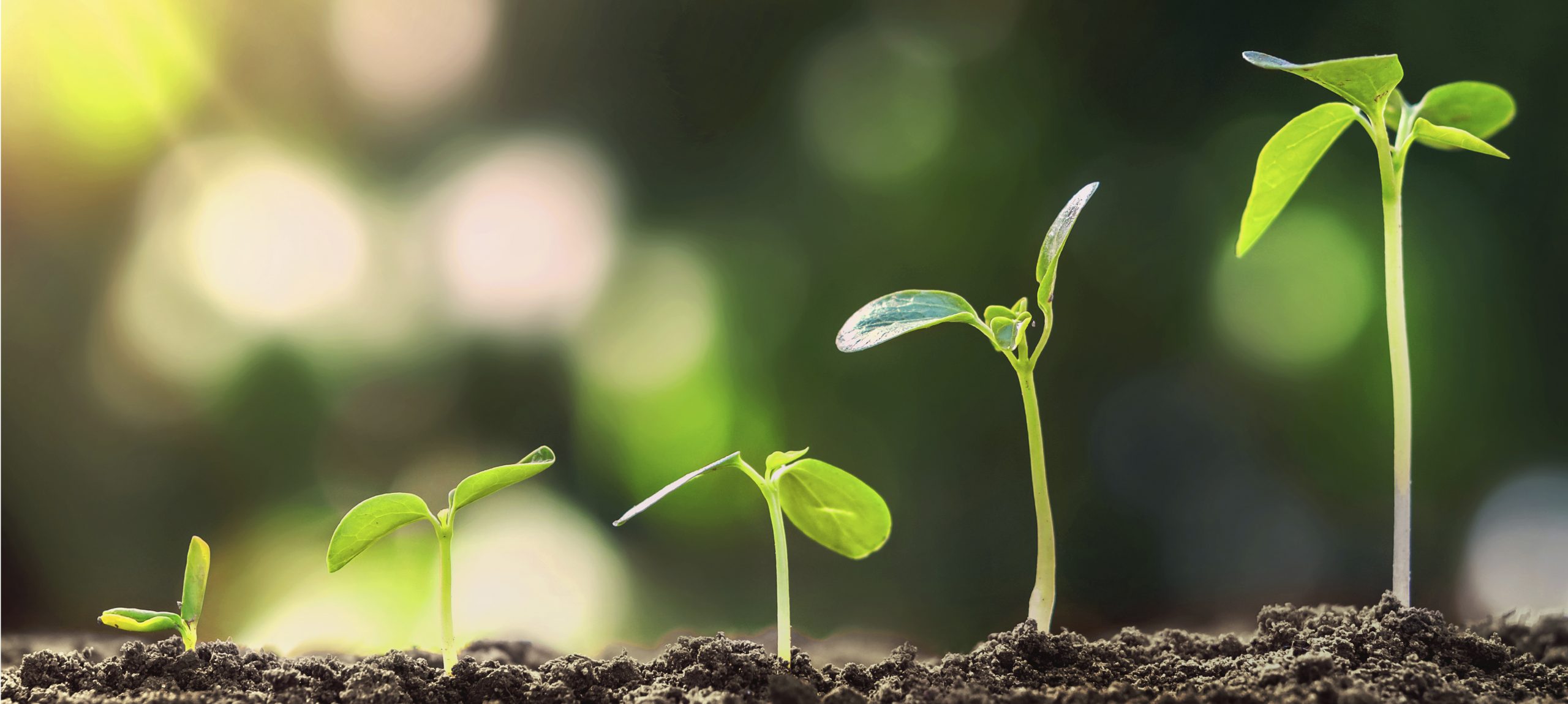 Imatge capçalera objetius missions