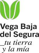 Logo Vega Baja Mayo 2021
